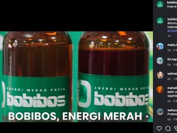 Viral Muncul BBM Baru Bernama Bobibos: RON 98, Diklaim dari Nabati
