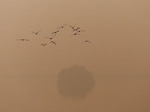 Kabut Asap Tebal Selimuti New Delhi, Begini Penampakannya