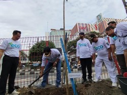 Bak Jepang, Jalan Margonda Raya Depok Bakal Ditanami Pohon Tabebuya