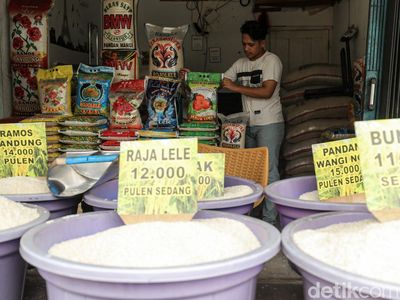 Produksi Meningkat, Stok Beras Nasional Menguat di Penghujung Tahun