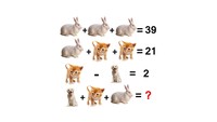 Merasa Jago Matematika? Coba Buktikan dengan Jawab Soal Tes Asah Otak Ini