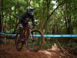 Shredding Series Master Downhill 2025 Tuntas