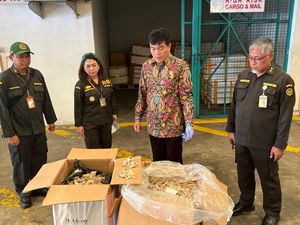 Badan Karantina Bongkar Praktik Curang Ekspor Sarang Burung Walet ke Vietnam