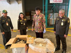 Badan Karantina Bongkar Praktik Curang Ekspor Sarang Burung Walet ke Vietnam