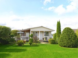 Menginap di Pedesaan, Tamu Protes Terganggu Domba-Domba Berisik