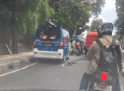 Viral Sanca Besar Melata di Jalanan Jaksel, Warga Sampai Ketakutan