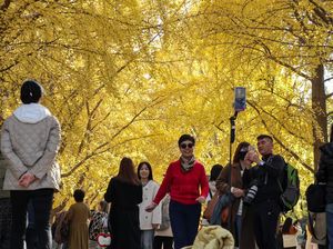 China Janji Lindungi Turis Asing Setelah Jepang Terbitkan Peringatan Keamanan