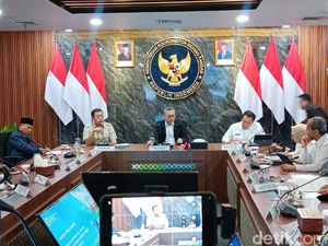 Alih Fungsi Lahan Sawah Dilarang, Pemerintah Bentuk Tim Khusus