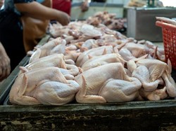 Masih Sering Cuci Ayam Sebelum Dimasak? Ini Risikonya Kata Ahli