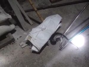 Ular Kobra 1 Meter Dievakuasi Usai Telan 4 Telur Ayam di Wonosari