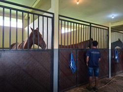 Biaya Karantina di RI Disebut Mahal, Begini Penjelasan Barantin