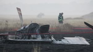 Penampakan Puing-puing Pesawat Kargo Militer Turki yang Jatuh di Georgia