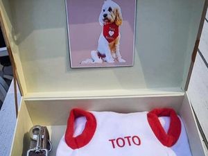 Video Momen Prabowo Beri Kado untuk Toto Anjing Peliharaan PM Australia