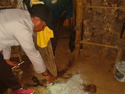 IRT di Kupang Bunuh Bayinya yang Baru Dilahirkan