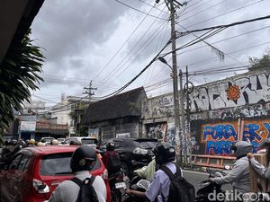 Kawanan Lebah Berkeliaran Ganggu Pengendara di Demangan Jogja