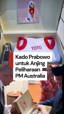 Video Momen Prabowo Beri Kado untuk Toto Anjing Peliharaan PM Australia