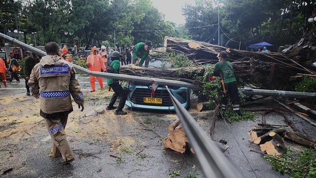 Petugas memotong pohon tumbang yang menimpa mobil taksi di depan Gedung Kementerian Keuangan, Jl Wahidin Raya Jakarta Pusat, Jumat (14/11/2025). Akibat hujan diserta angin kencang, pohon beringin tua roboh dan menimpa taksi Bluebird B 1295 TUC. Tak ada korban jiwa, sopir selamat.