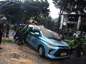 Video: 2 Mobil Ringsek Tertimpa Pohon Tumbang di Depan Kemenkeu