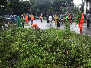 Waspada Angin Kencang di Jakarta pada 23-24 Januari, Cek Peringatannya