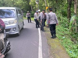 5 Turis China yang Tewas Kecelakaan Hendak Lihat Lumba-Lumba di Lovina