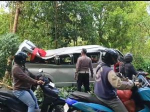 Hiace Tabrak Pohon hingga Terpental di Bali, 5 WN China Tewas dan 8 Luka