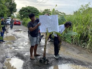 Warga Parepare Tanam Pohon Pisang di Jalan gegara 2 Tahun Rusak Parah