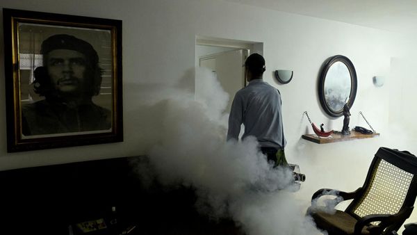 Pengasapan Massal Perangi Wabah Chikungunya yang Meluas