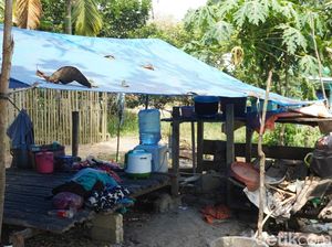 Ditipu Penculik Bilqis, Orang Rimba Jambi Justru Jadi Penyelamat