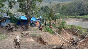 Marak Penambang Emas Tanpa Izin di Banyuwangi, Pemerintah Diminta Tegas