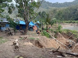 Marak Penambang Emas Tanpa Izin di Banyuwangi, Pemerintah Diminta Tegas