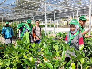 Dari Teori ke Aksi Nyata: 311 Ketua OSIS se-Riau Dilatih di Bank Pohon