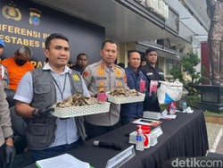 Pria di Medan Ditangkap Hendak Jual Sisik Trenggiling Seharga Rp 1,2 Juta/Kg