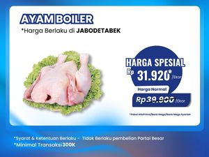 Ayam Broiler Murah Banget di Transmart Full Day Sale Pekan Ini