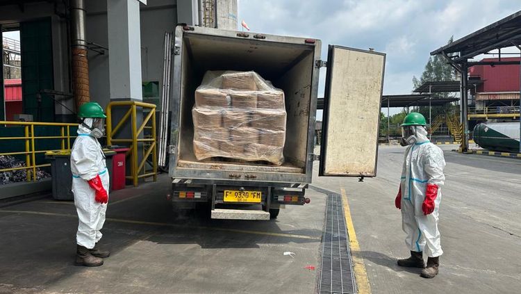 Darurat Radioaktif: 5,7 Ton Udang Terkontaminasi Musnah Demi Keamanan Pangan