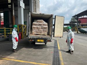 5,7 Ton Udang Terpapar Radioaktif Akhirnya Dimusnahkan