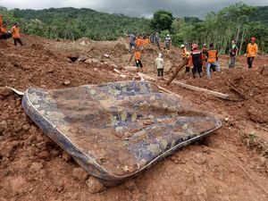Tim SAR Kerahkan 9 Anjing Pelacak Cari Korban Tertimbun Longsor Cilacap
