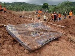 Tim SAR Kerahkan 9 Anjing Pelacak Cari Korban Tertimbun Longsor Cilacap