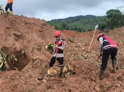 Tim SAR Kembali Temukan 8 Jasad Korban Longsor di Cilacap