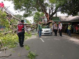 Penampakan Mobil Yaris Ringsek Usai Tertimpa Pohon Tumbang di Ciputat
