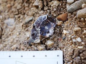 Penemuan dari 2,7 Juta Tahun Lalu Ini Bantu Orang Purba Bertahan Hidup