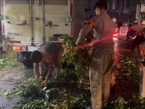 Aksi Brimob Bantu Tangani Pohon Tumbang di Ciputat, Akses Kini Kembali Normal