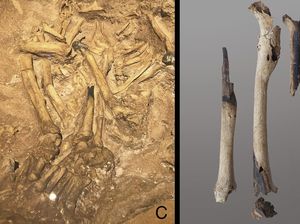 Praktik Mumifikasi Tertua dari Asia Tenggara, Lebih Tua dari Mesir Kuno