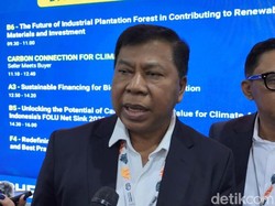 MA Sebut Ada 1.700 Hakim Bersertifikat untuk Tangani Perkara Lingkungan Hidup