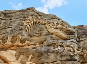 Para Ahli Paleontologi Temukan Jejak Keberadaan Dinosaurus 29 Meter!