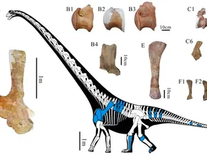 Fosil Dinosaurus Sepanjang 2 Gerbong KRL Ditemukan di China