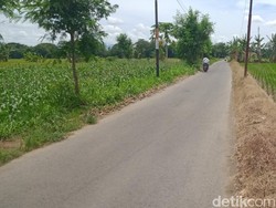 Viral 2 Begal Payudara Beraksi di Jalan Ngawinan-Ngabeyan Klaten, Ternyata...