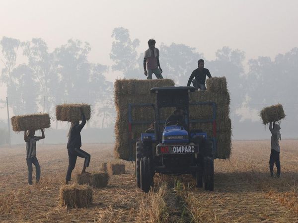Petani Punjab Olah Jerami Padi Demi Solusi Bersih dan Bernilai Ekonomi