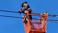 PLN Turunkan Tim Pulihkan Listrik Padam di Sumatera, Minta Masyarakat Tenang