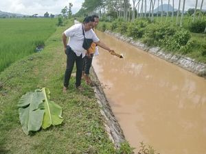 Remaja di Trenggalek Tewas Saat Belajar Renang di Irigasi