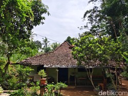 Warganya Ditandu Susuri Sawah untuk Berobat, Lurah: Rencana Direlokasi